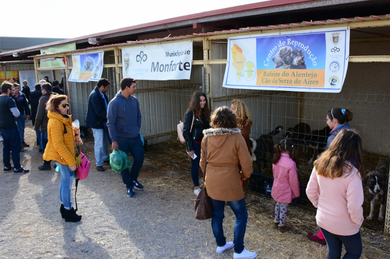 933_44071-2017-05-08-foto-monforte-na-fiape-2017-100