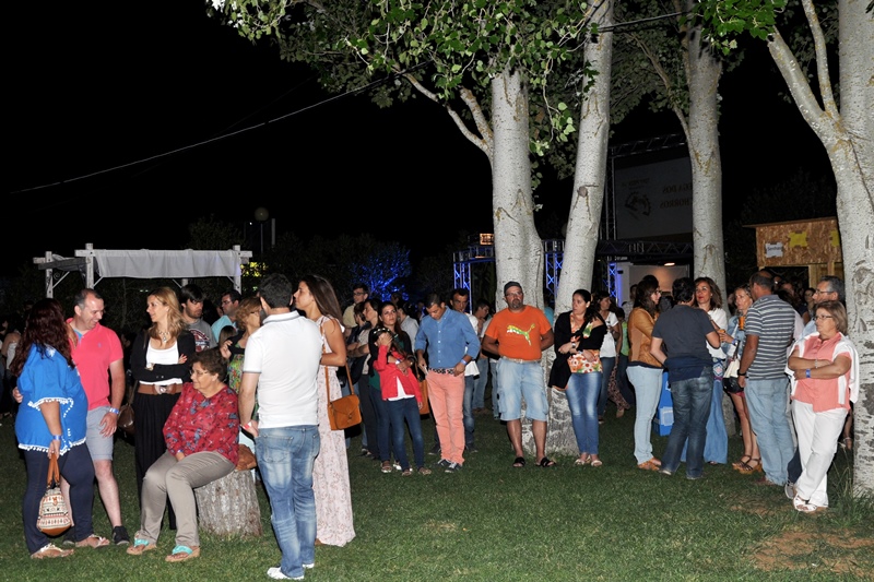 509_25123-2015-07-07-festival-agitagente-para-todos-os-gostos-102