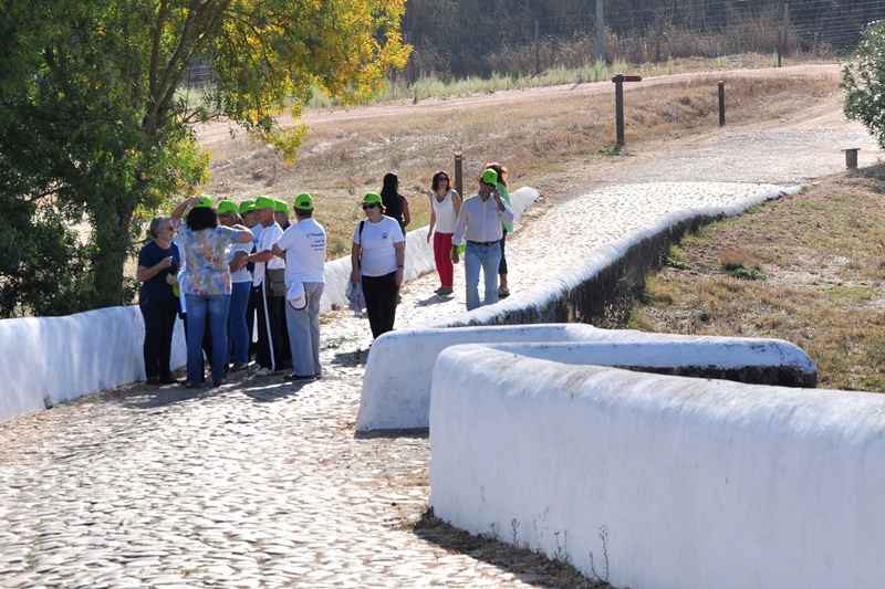 551_26448-2015-09-29-fotografia-municipio-de-monforte-leva-a-descobrir-marcas-do-seu-patrimonio-indu