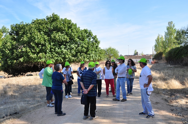 551_26459-2015-09-29-fotografia-municipio-de-monforte-leva-a-descobrir-marcas-do-seu-patrimonio-indu