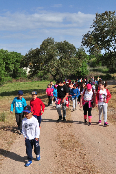 930_43448-2017-05-04-foto-caminhada-de-saude-a-senhora-dos-prazeres101