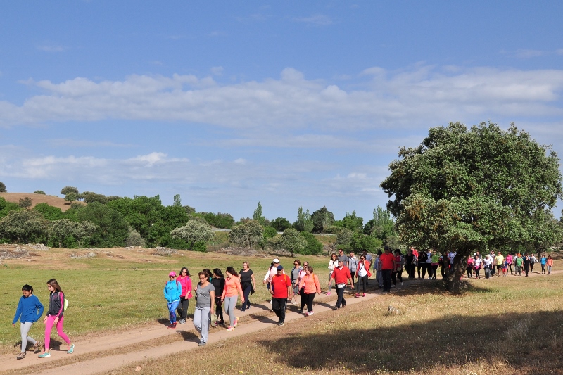 930_43452-2017-05-04-foto-caminhada-de-saude-a-senhora-dos-prazeres105