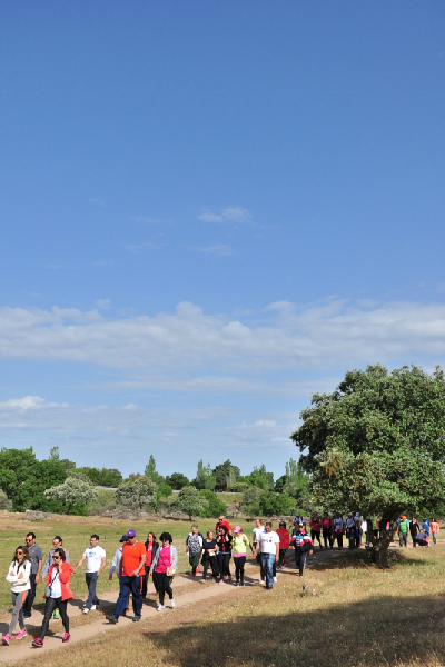 930_43454-2017-05-04-foto-caminhada-de-saude-a-senhora-dos-prazeres107