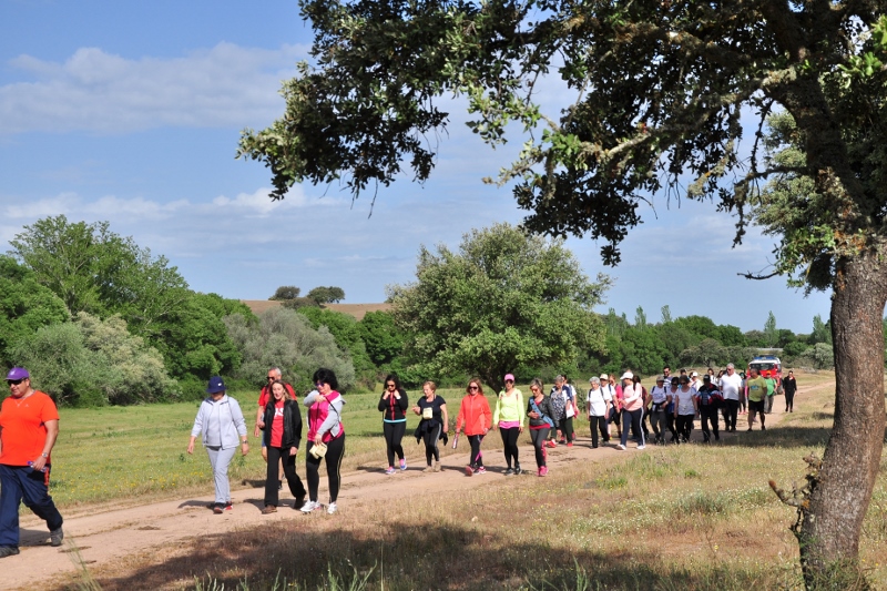 930_43456-2017-05-04-foto-caminhada-de-saude-a-senhora-dos-prazeres109