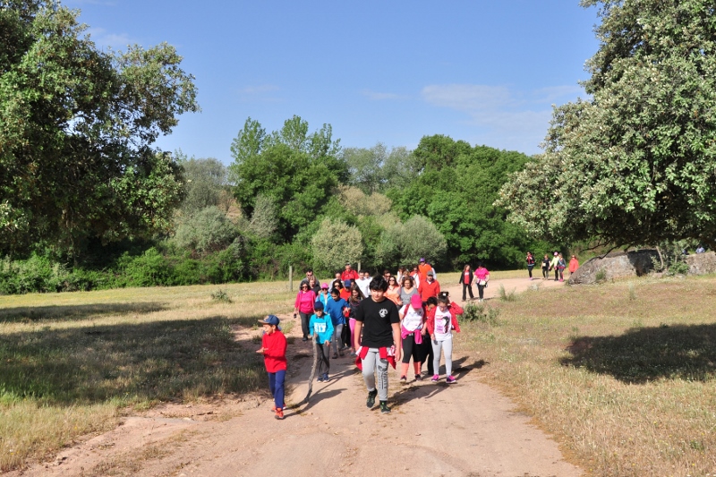 930_43457-2017-05-04-foto-caminhada-de-saude-a-senhora-dos-prazeres110