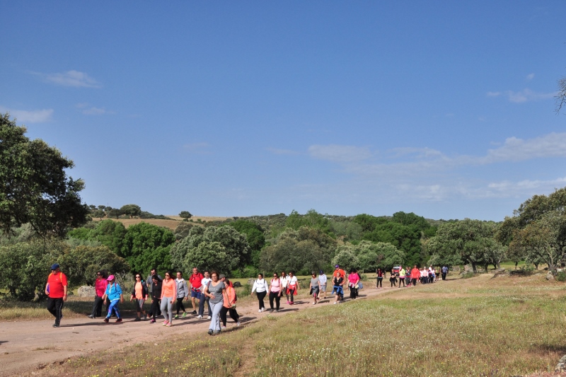 930_43460-2017-05-04-foto-caminhada-de-saude-a-senhora-dos-prazeres113