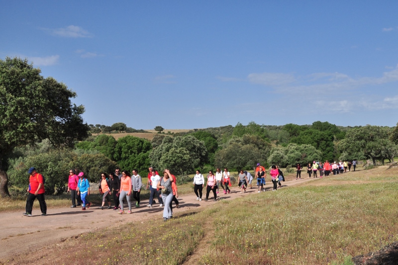 930_43461-2017-05-04-foto-caminhada-de-saude-a-senhora-dos-prazeres114