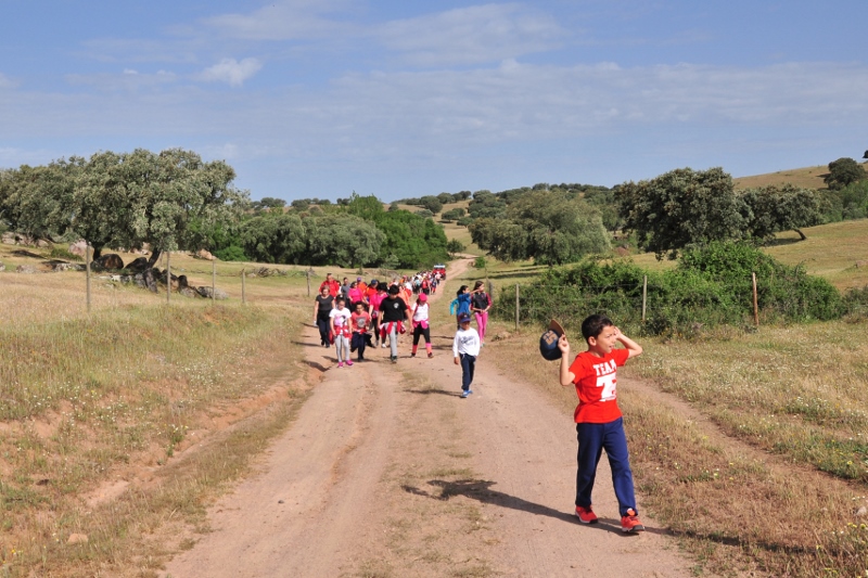 930_43464-2017-05-04-foto-caminhada-de-saude-a-senhora-dos-prazeres117