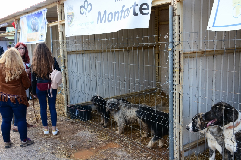 933_44072-2017-05-08-foto-monforte-na-fiape-2017-101