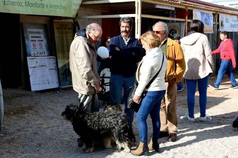 933_44079-2017-05-08-foto-monforte-na-fiape-2017-108