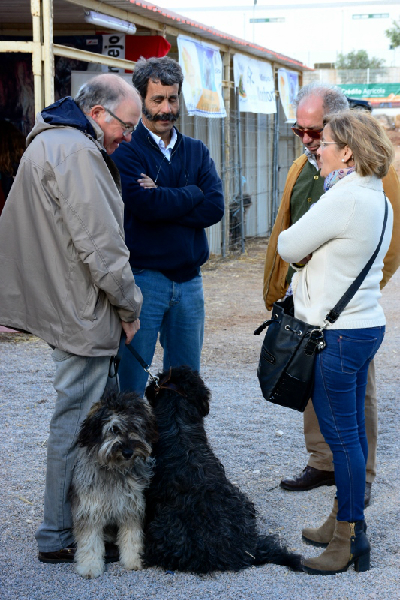 933_44080-2017-05-08-foto-monforte-na-fiape-2017-109