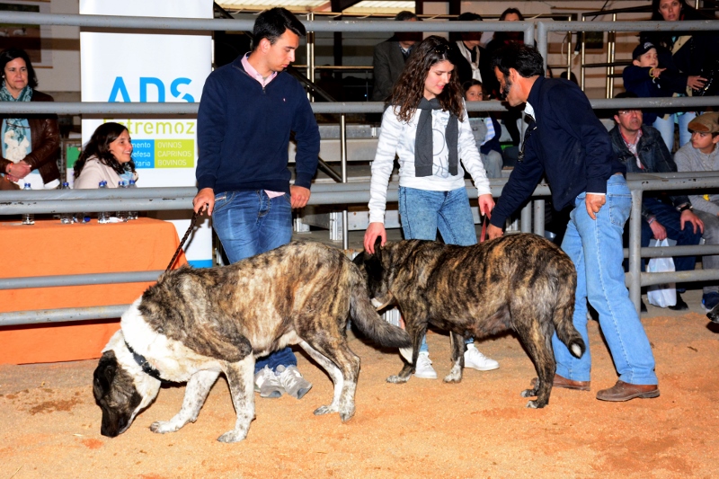 933_44085-2017-05-08-foto-monforte-na-fiape-2017-114