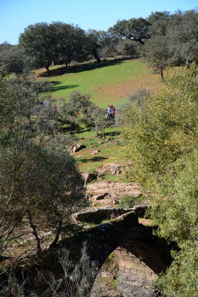 2022-11-18-foto-anta-da-rabuje-atrai-caminheiros-(112) (683x1024)