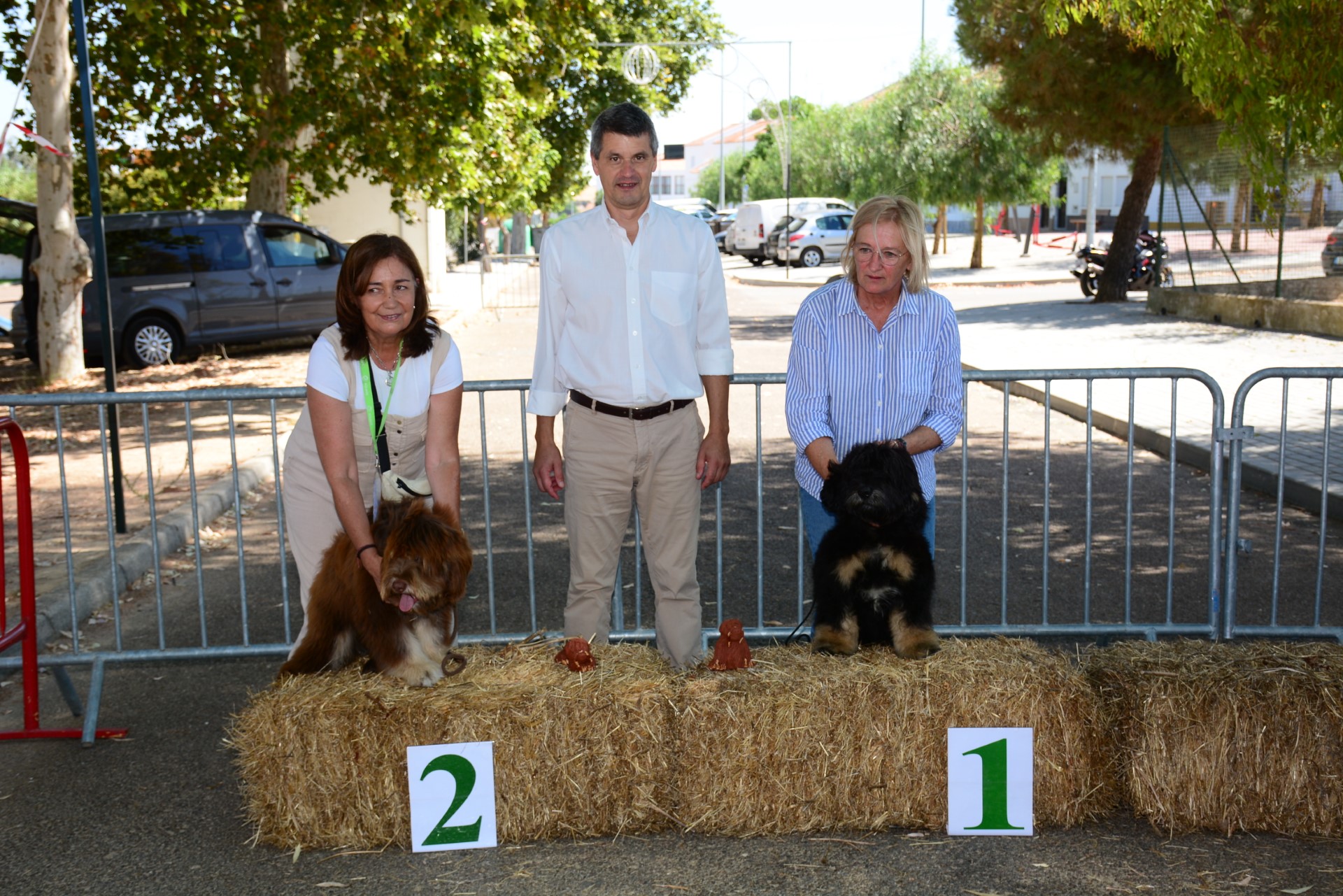 2024-08-26-foto-concurso-regional-do-cao-da-serra-de-aires-(131)