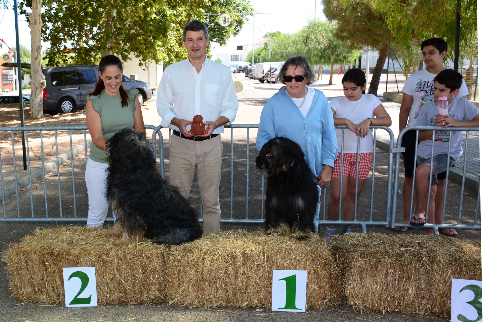 2024-08-26-foto-concurso-regional-do-cao-da-serra-de-aires-(146)