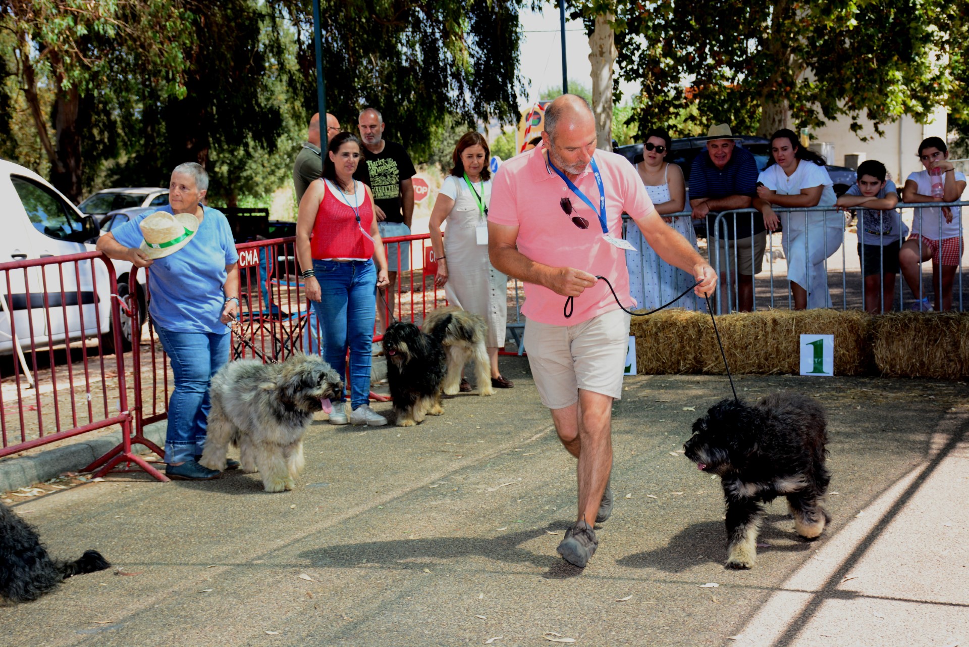 2024-08-26-foto-concurso-regional-do-cao-da-serra-de-aires-(167)