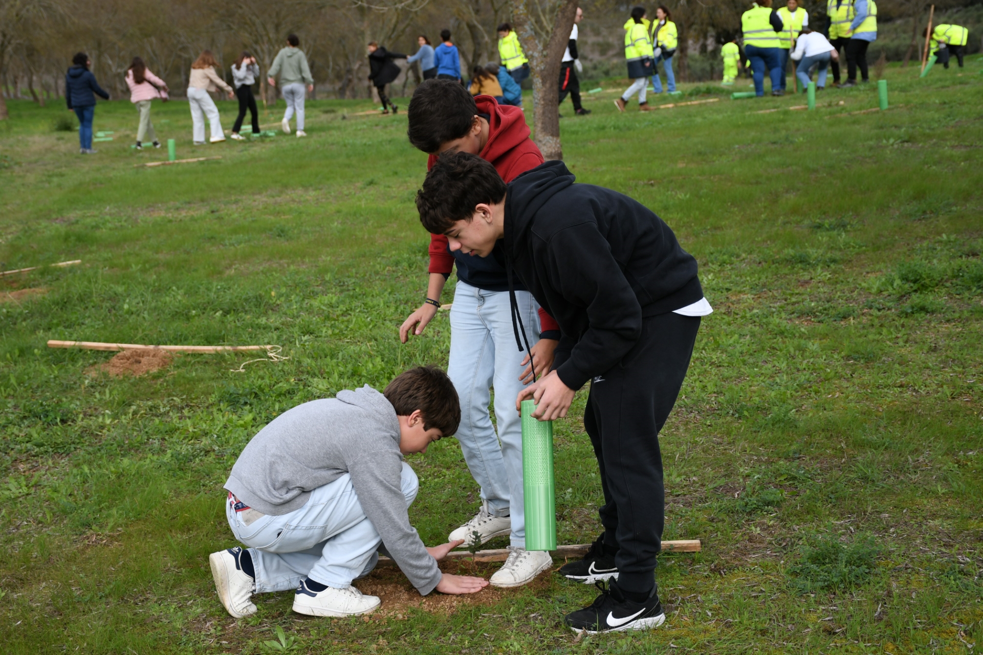 2024-11-25-foto-ip-solidaria-em-monforte-envolve-dezenas-de-voluntarios-(130)