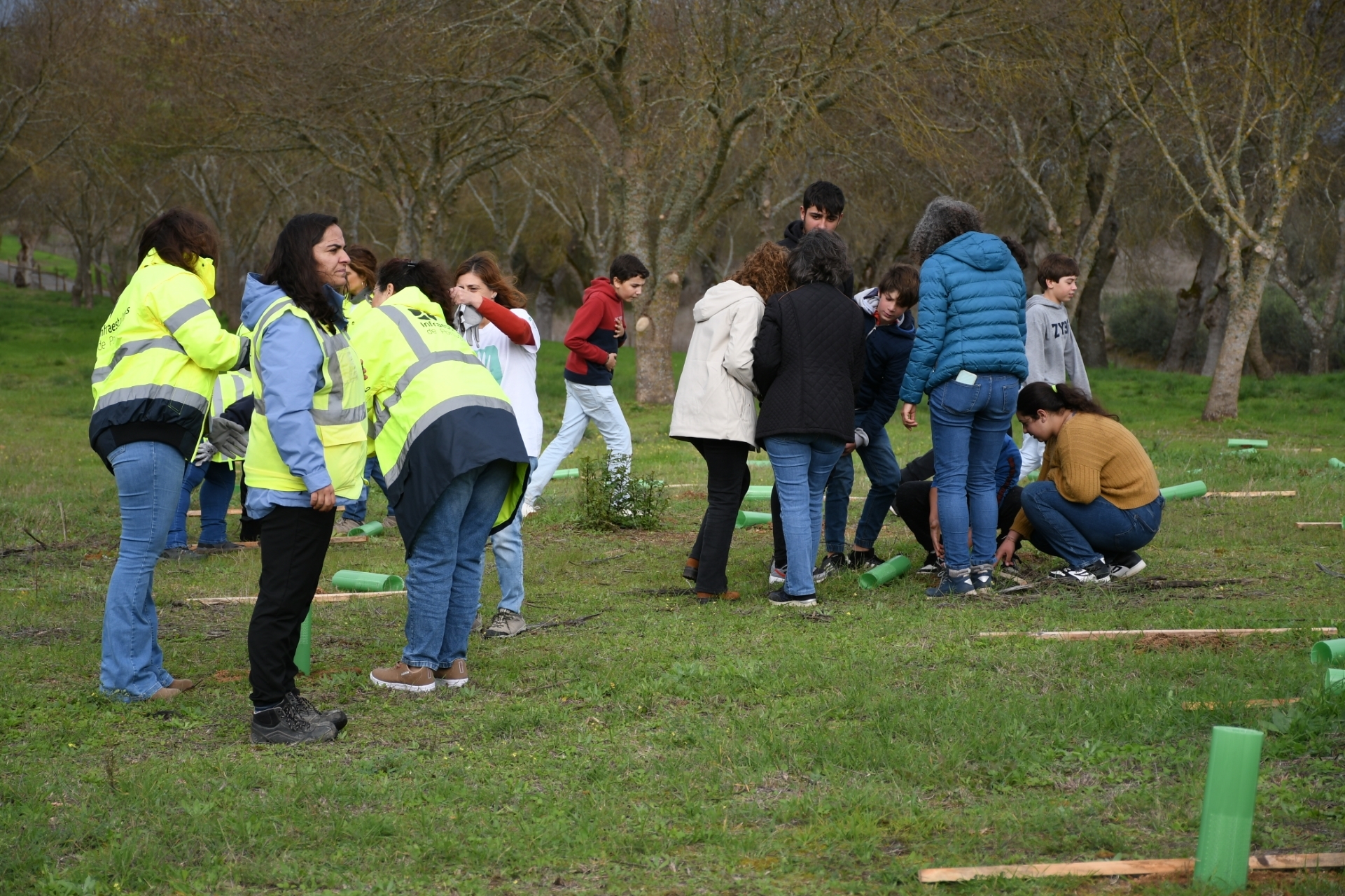 2024-11-25-foto-ip-solidaria-em-monforte-envolve-dezenas-de-voluntarios-(134)