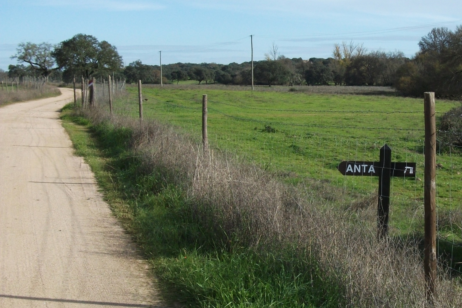 2025-03-07- município-valoriza-rota-das-antas-da-rabuje-(106)