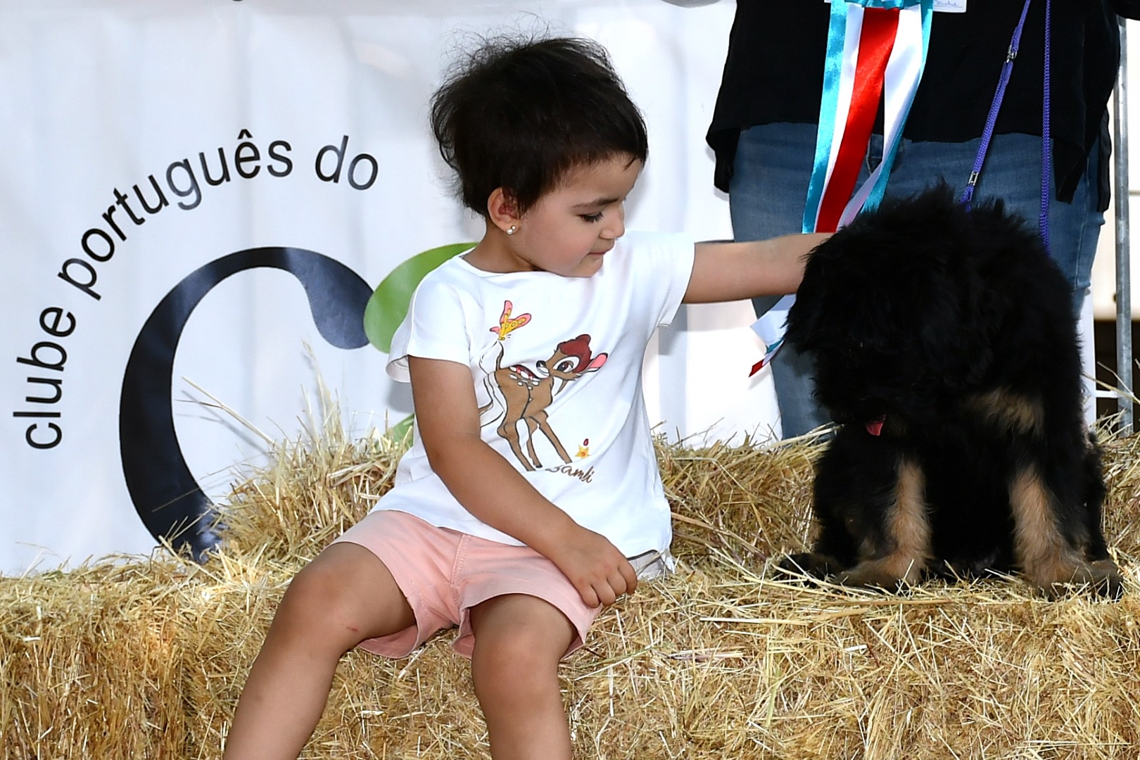2025-08-25-foto-concurso-regional-do-cao-serra-de-aires-(109)