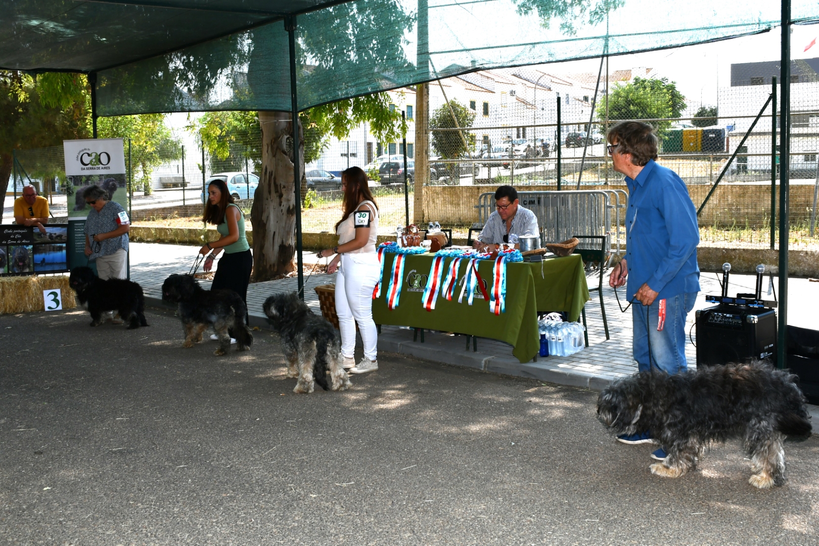 2025-08-25-foto-concurso-regional-do-cao-serra-de-aires-(110)