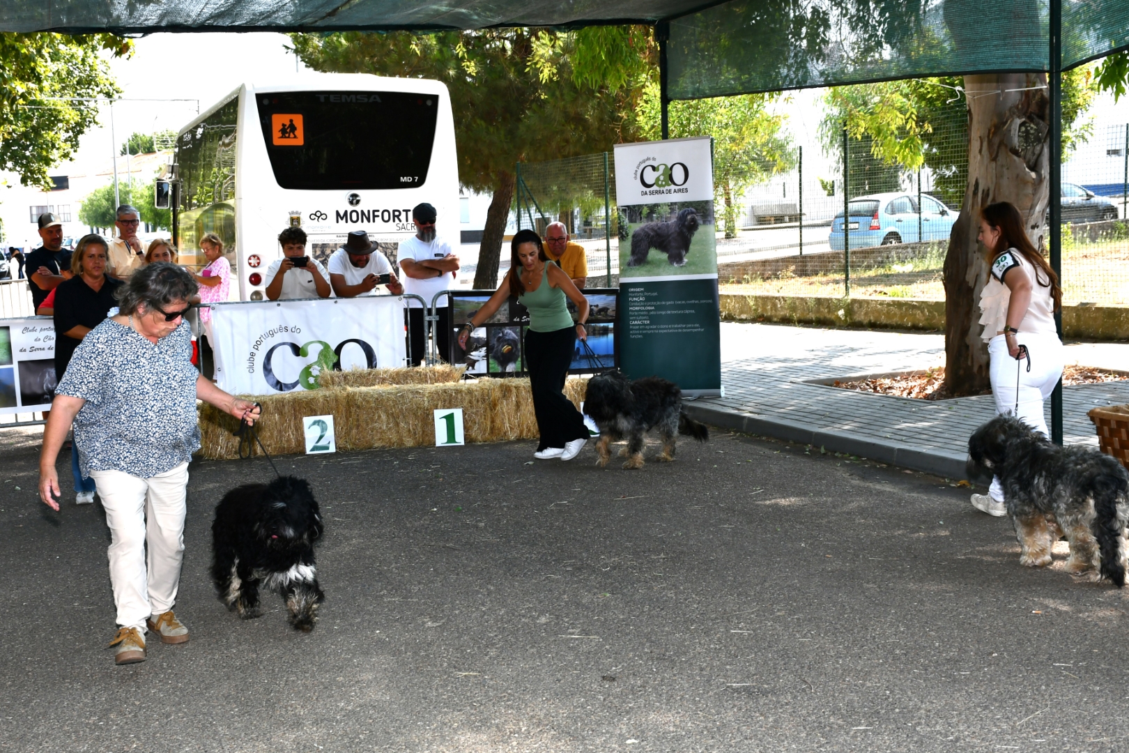 2025-08-25-foto-concurso-regional-do-cao-serra-de-aires-(111)