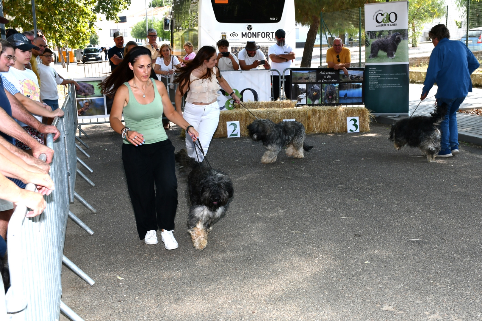 2025-08-25-foto-concurso-regional-do-cao-serra-de-aires-(112)