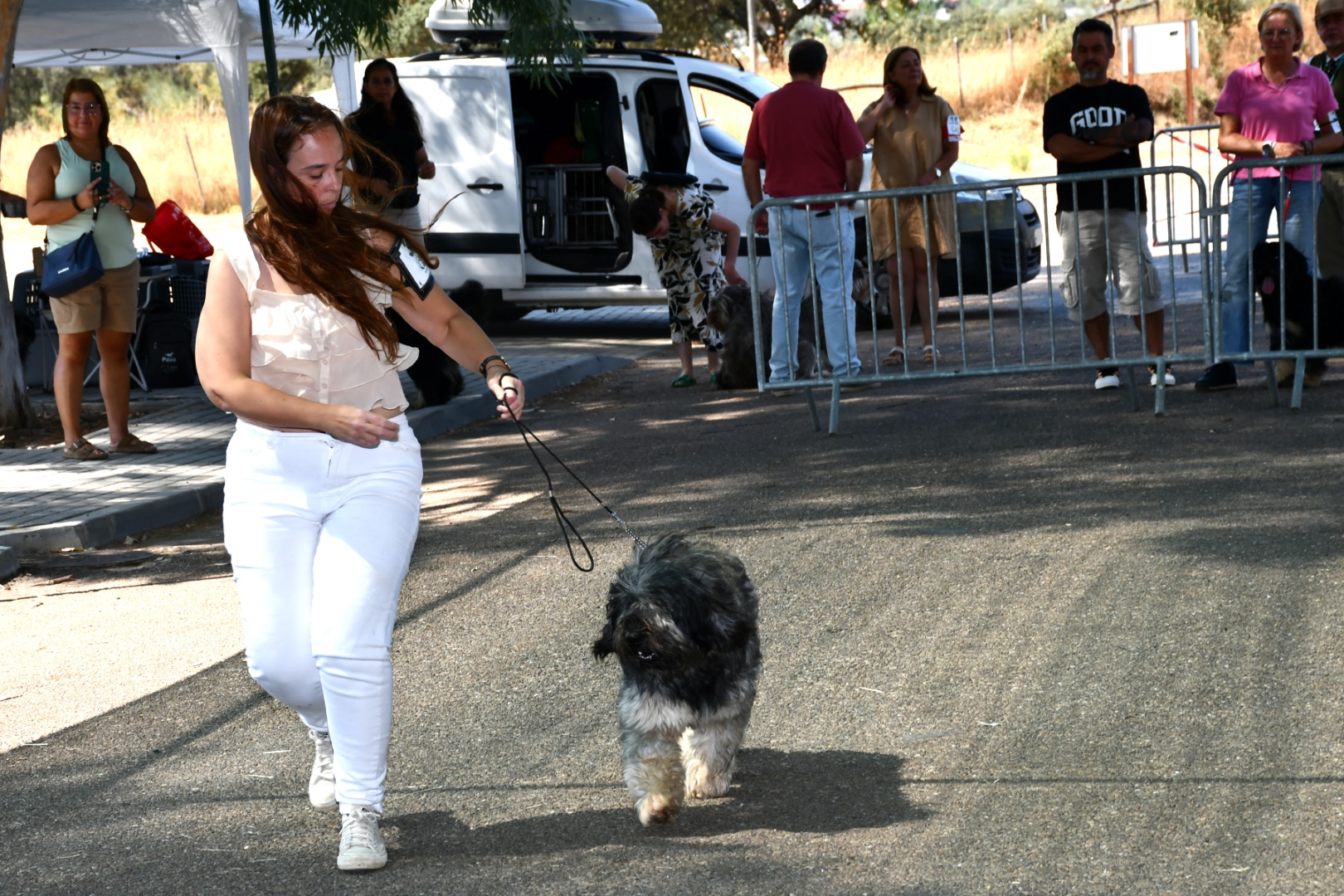 2025-08-25-foto-concurso-regional-do-cao-serra-de-aires-(116)