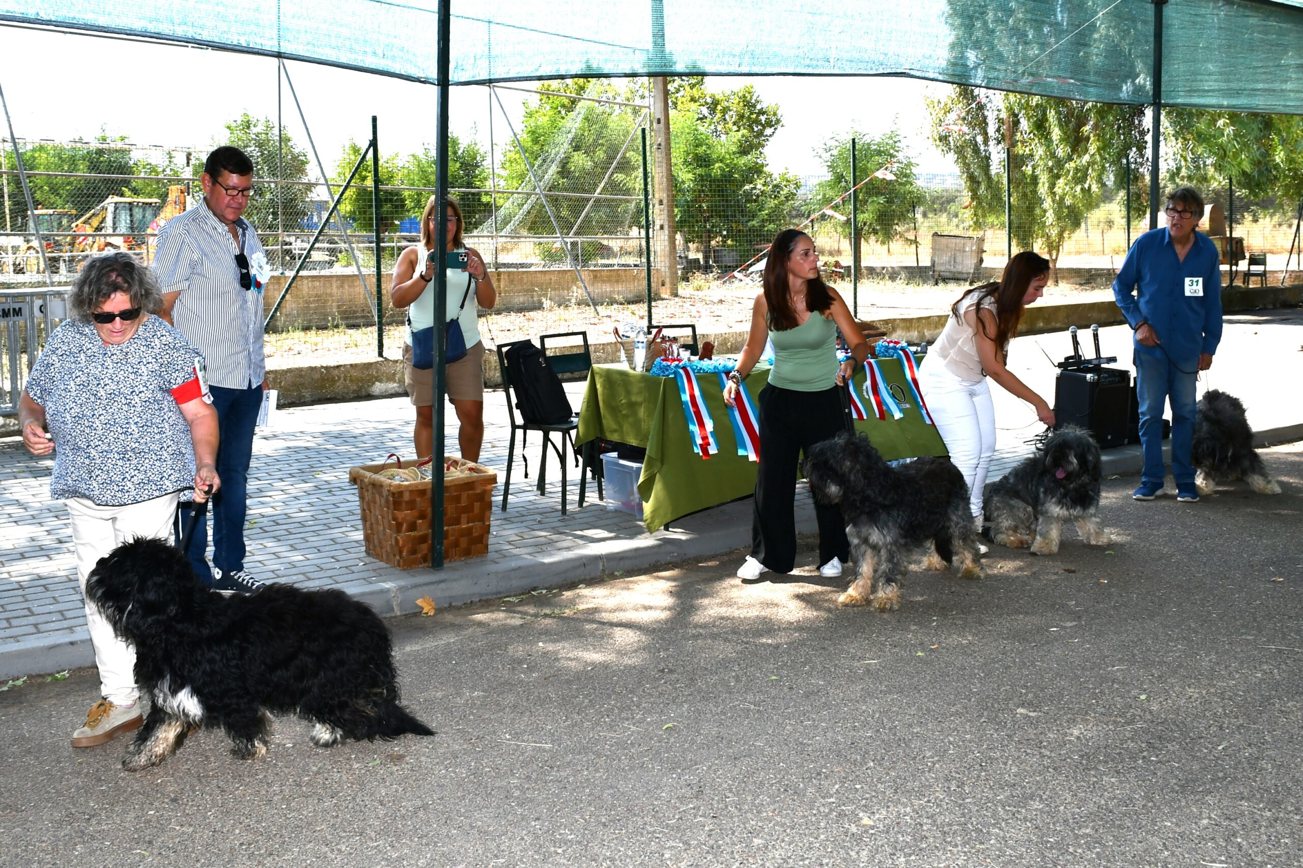 2025-08-25-foto-concurso-regional-do-cao-serra-de-aires-(121)