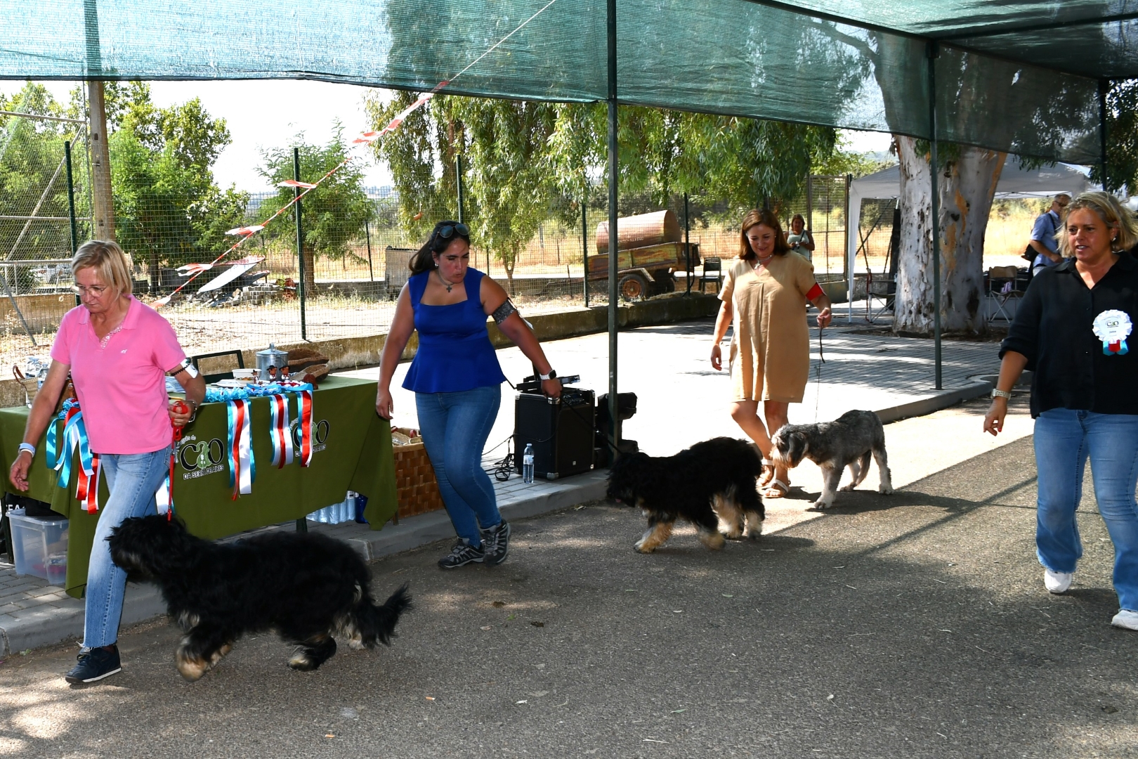 2025-08-25-foto-concurso-regional-do-cao-serra-de-aires-(136)
