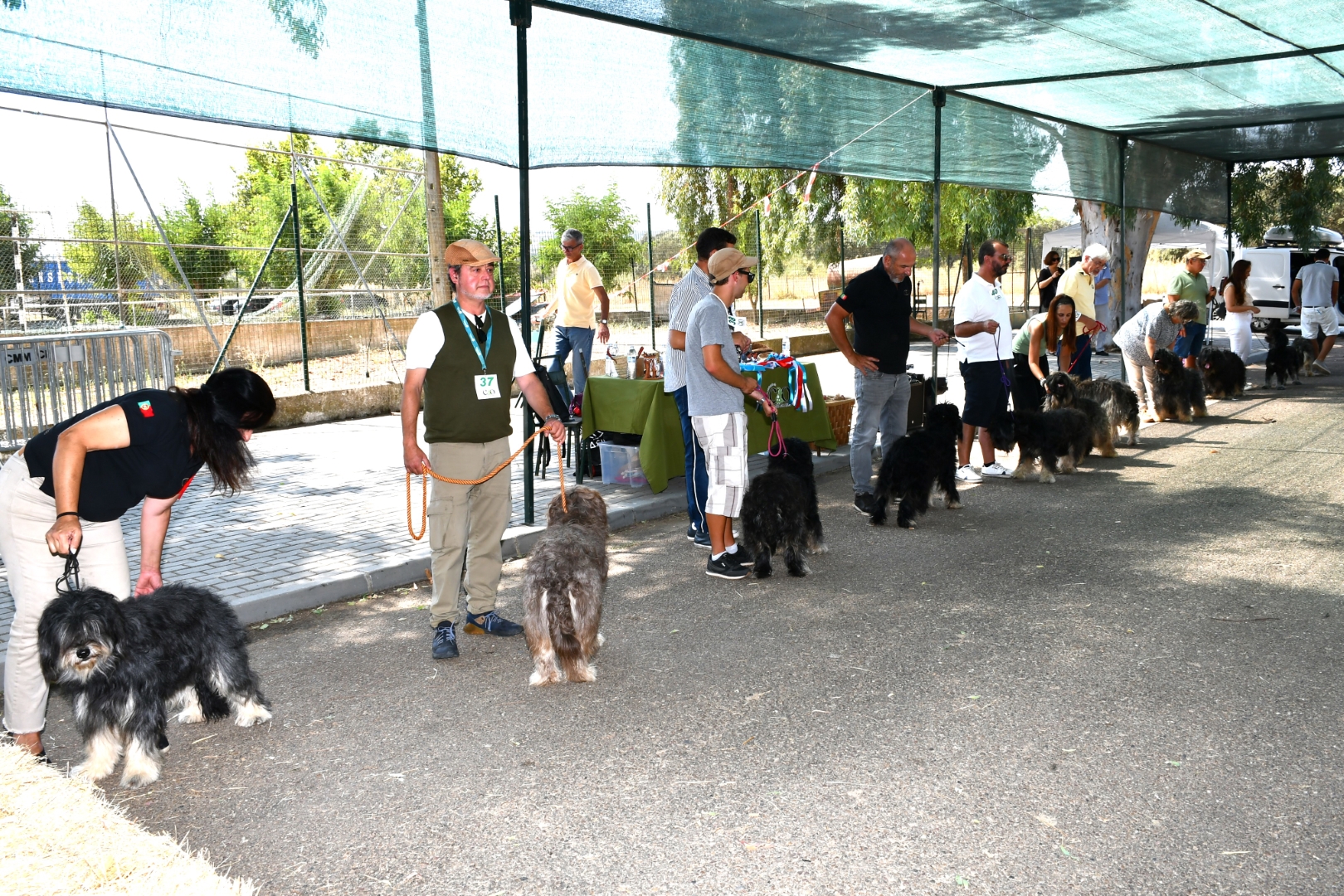 2025-08-25-foto-concurso-regional-do-cao-serra-de-aires-(141)