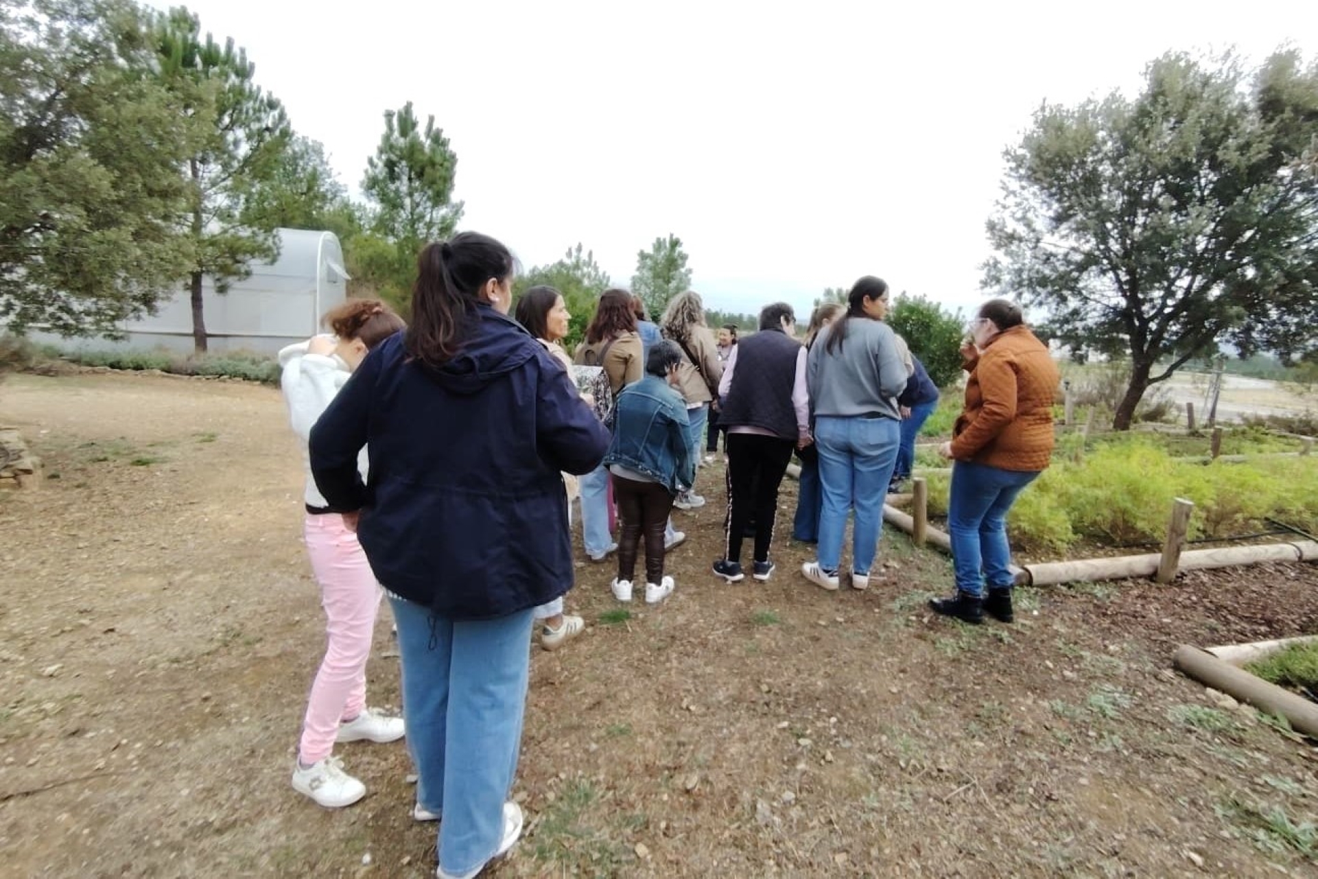 2025-11-03-foto-visita-ao-centro-ciencia-viva-da-floresta-proenca-a-nova-(115)