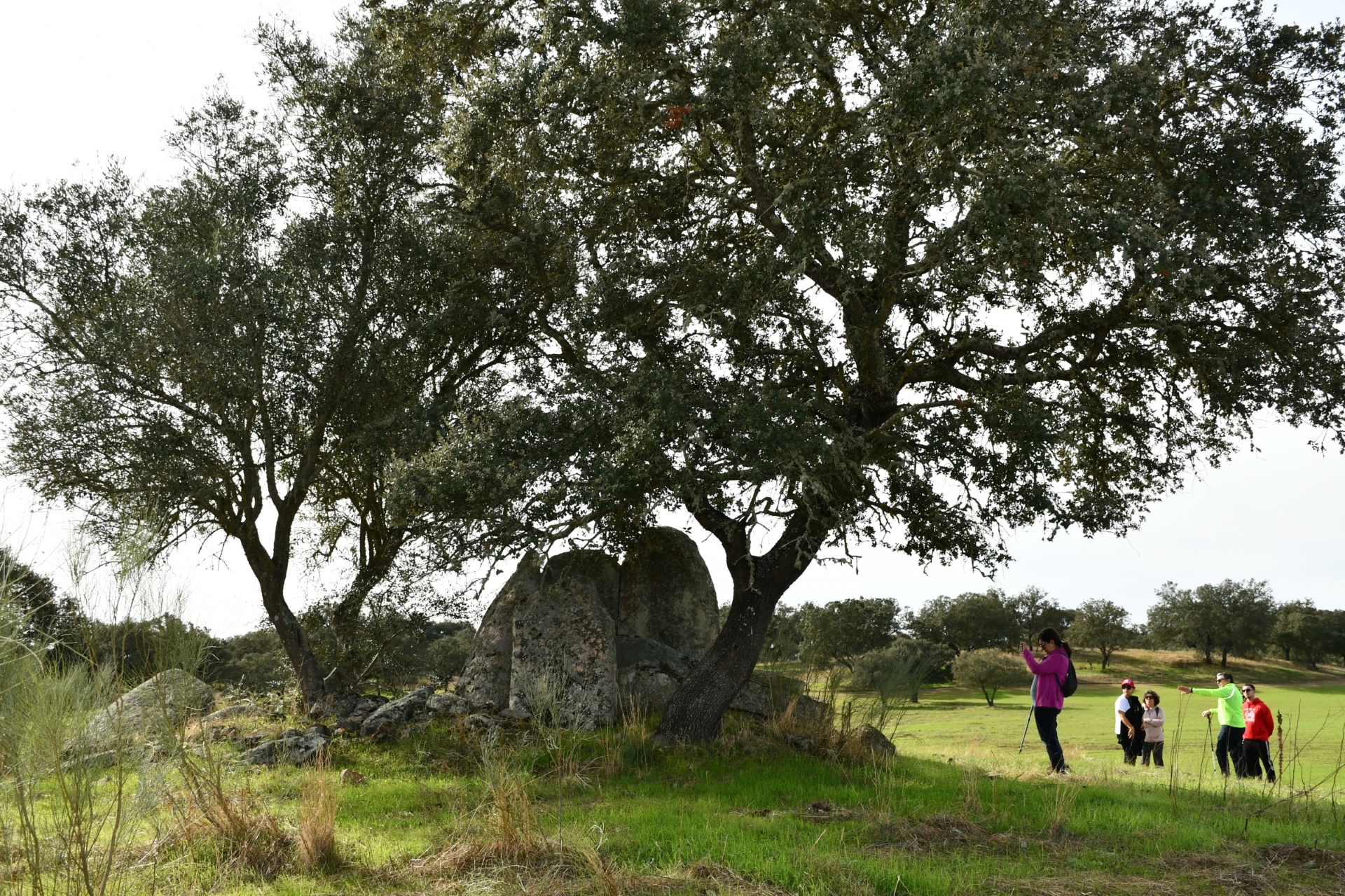 2025-11-09-foto-alentejo-walking-festival-(100)