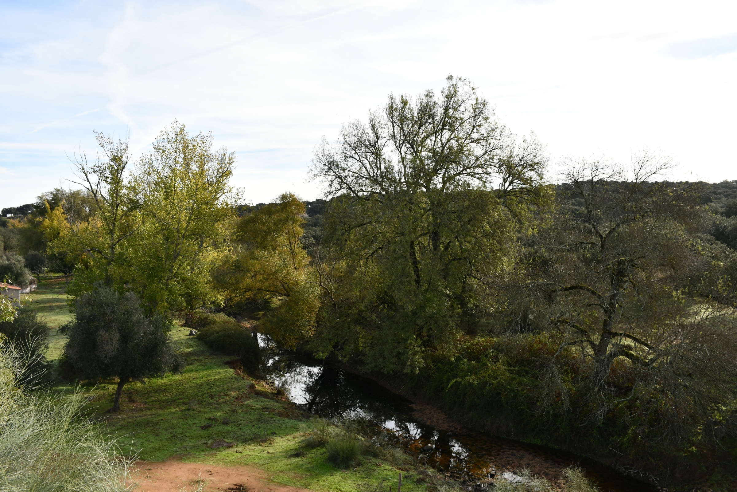 2025-11-09-foto-alentejo-walking-festival-(107)