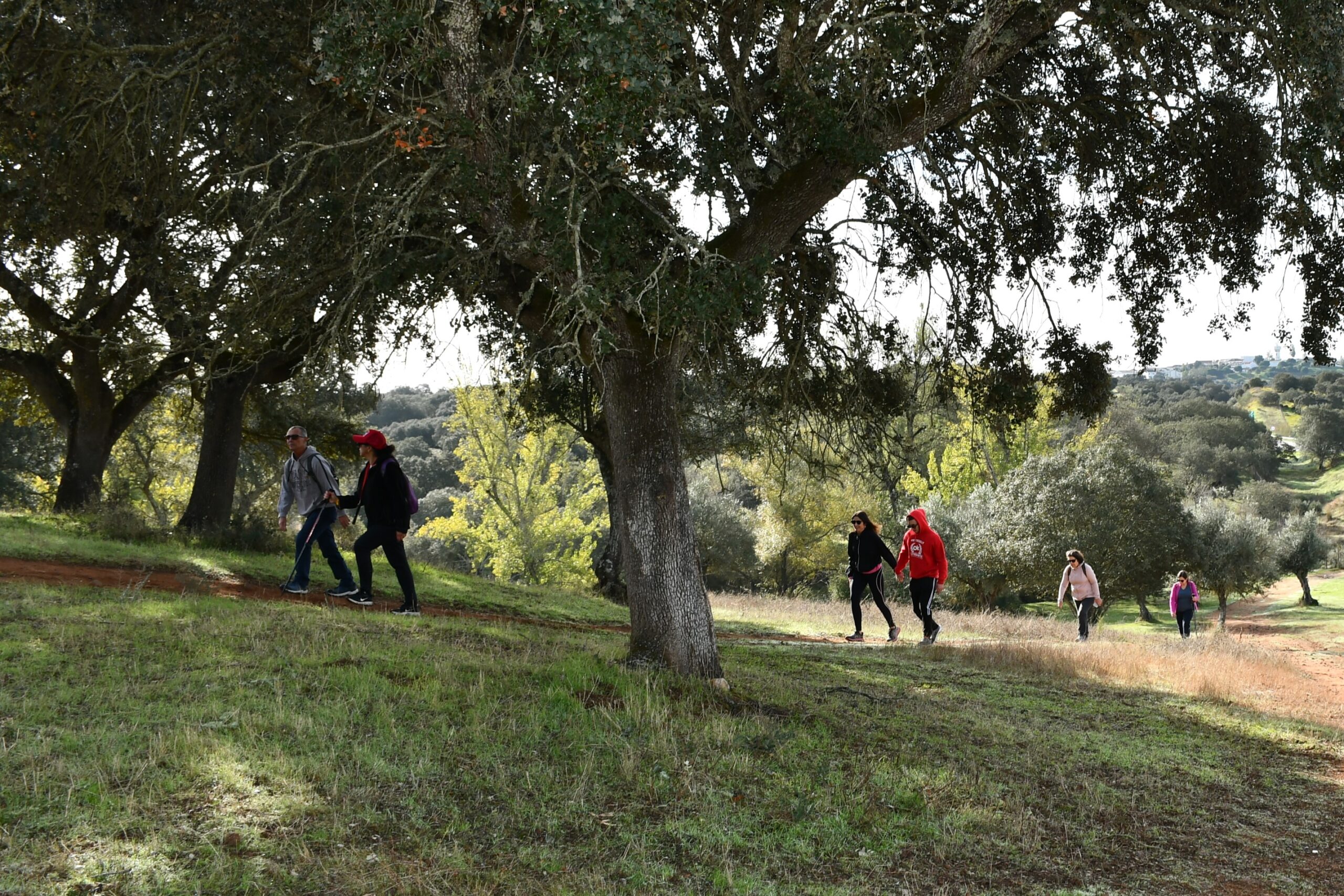 2025-11-09-foto-alentejo-walking-festival-(108)
