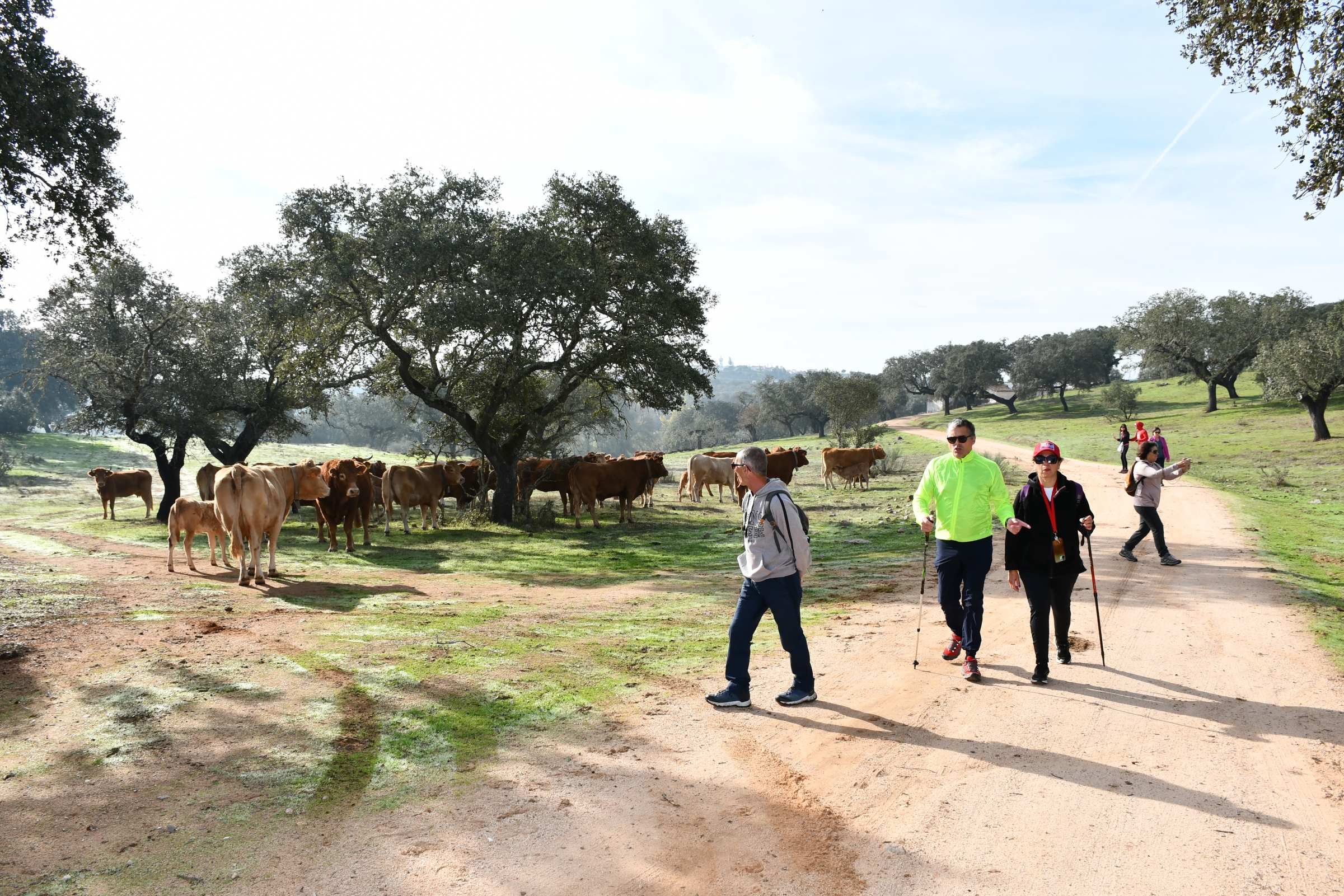 2025-11-09-foto-alentejo-walking-festival-(109)