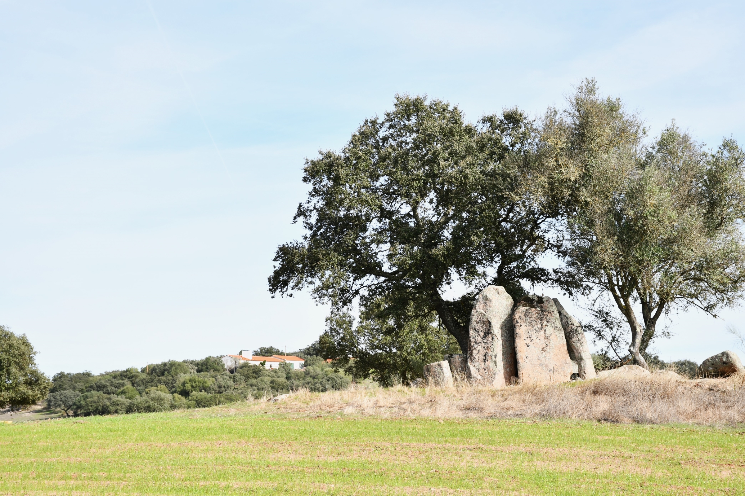 2025-11-09-foto-alentejo-walking-festival-(112)