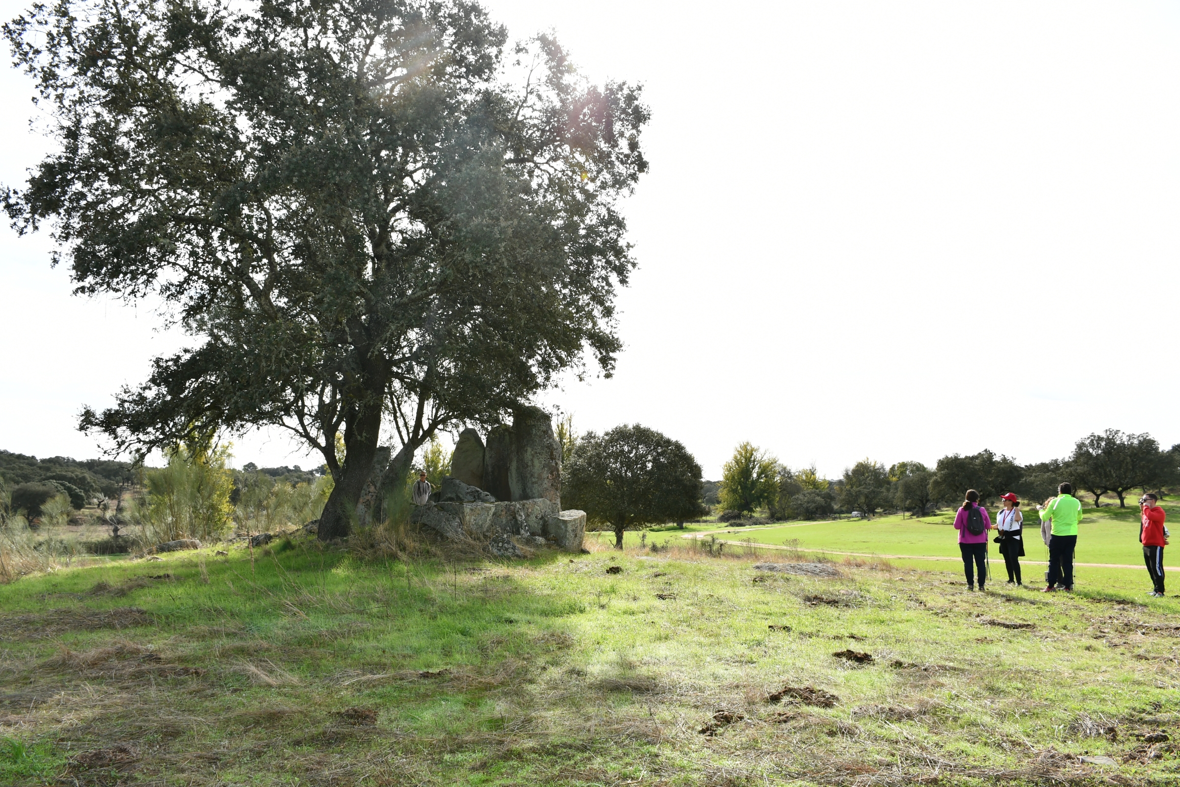 2025-11-09-foto-alentejo-walking-festival-(113)
