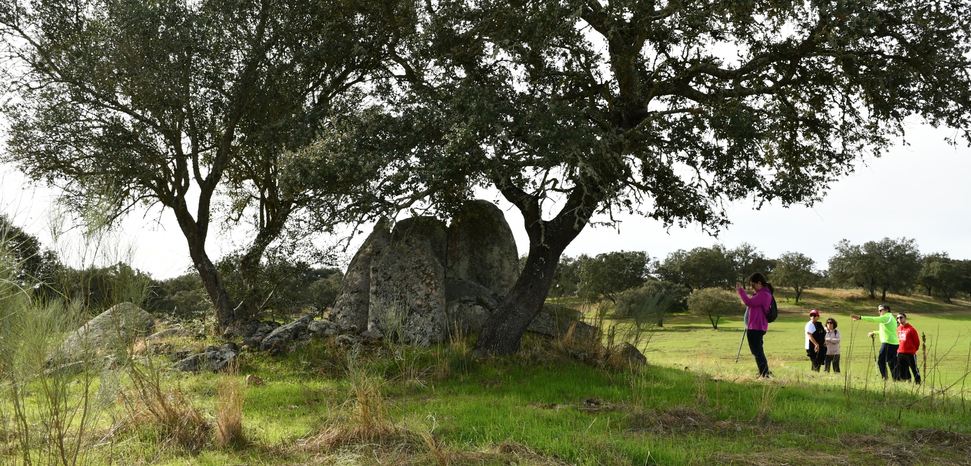 ALENTEJO WALKING FESTIVAL