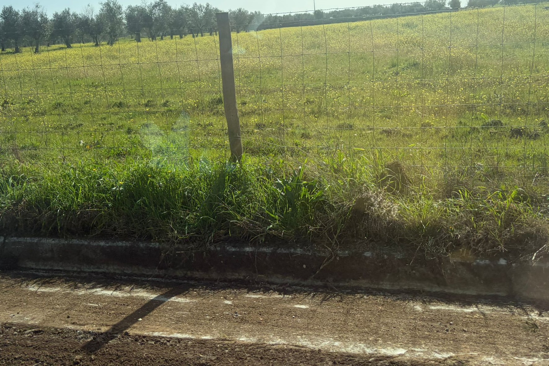 2026-02-26-foto-conservacao-de-estradas-(103)