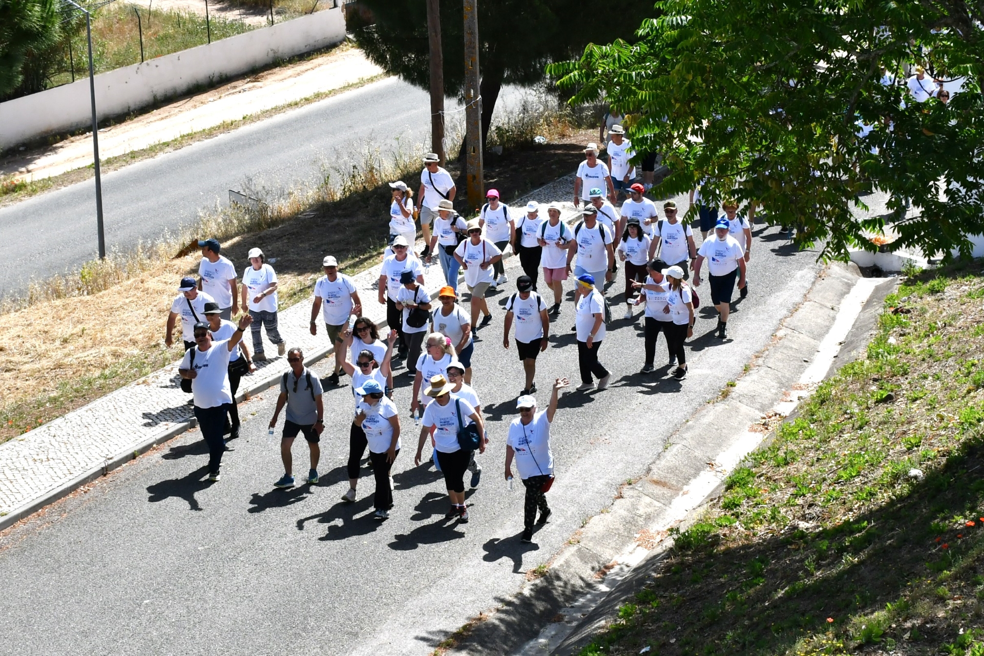 2026-06-08-foto-219-seniores+55-caminharam-em-monforte-(111)