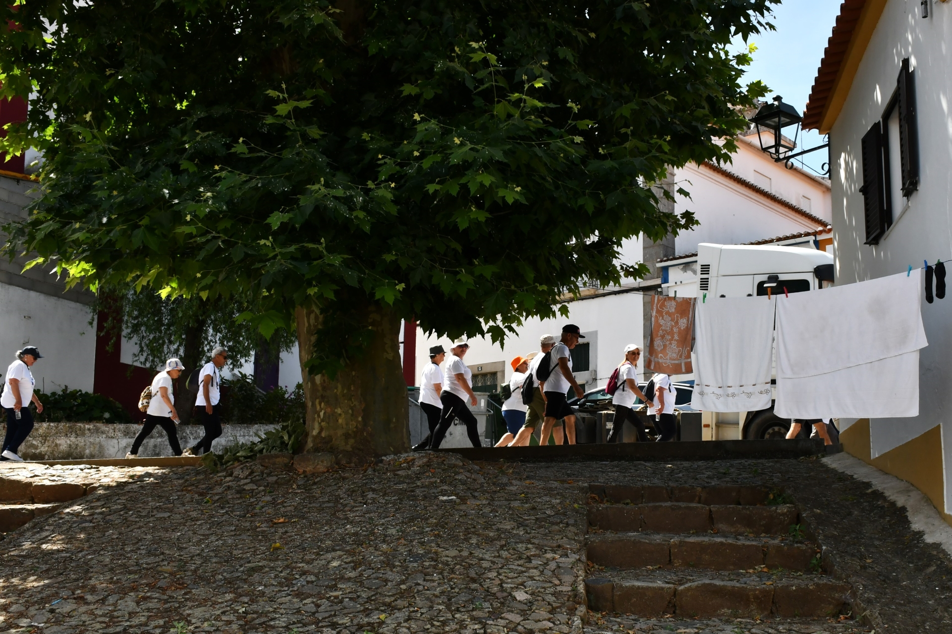 2026-06-08-foto-219-seniores+55-caminharam-em-monforte-(117)
