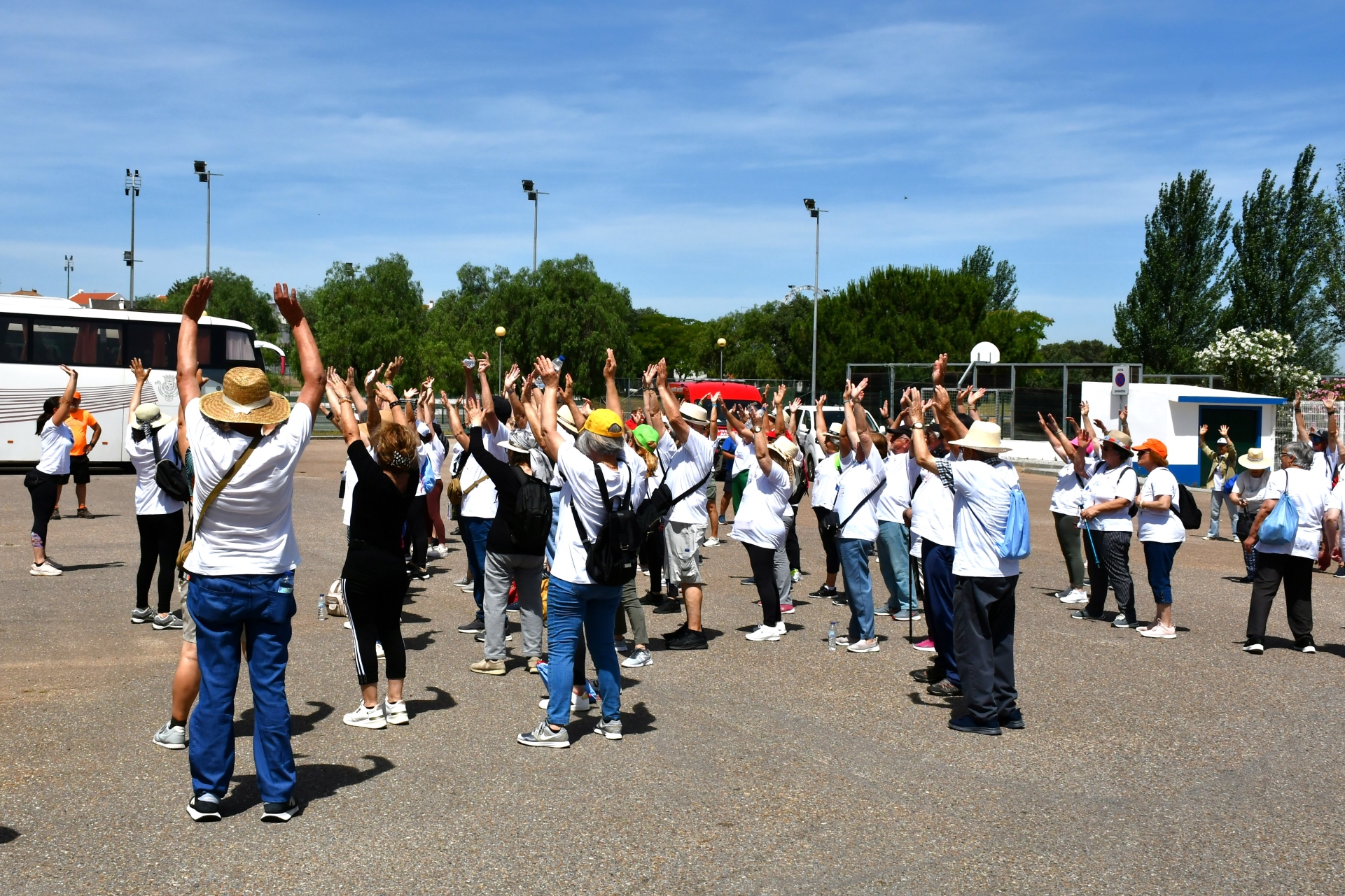 2026-06-08-foto-219-seniores+55-caminharam-em-monforte-(128)