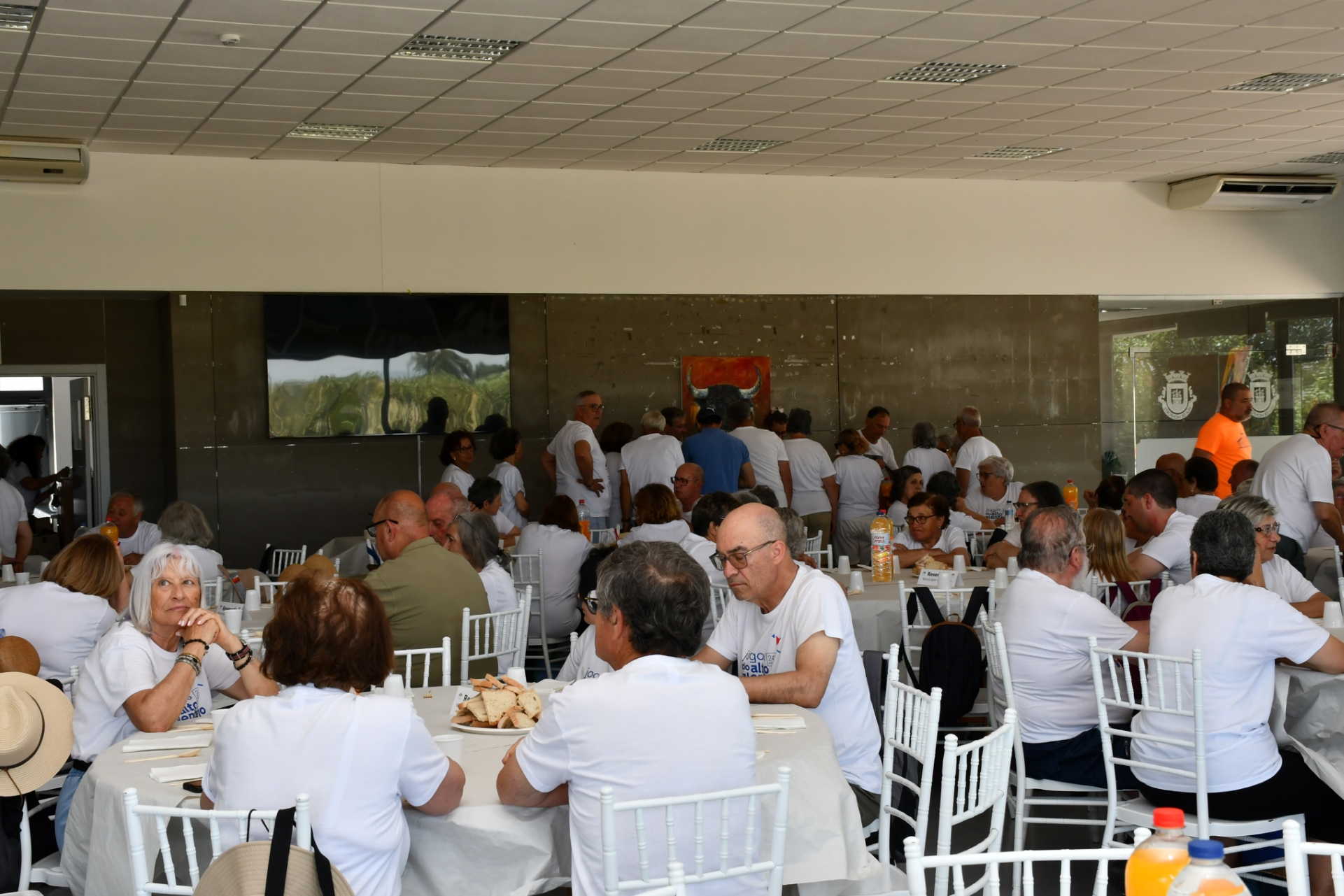 2026-06-08-foto-219-seniores+55-caminharam-em-monforte-(133)