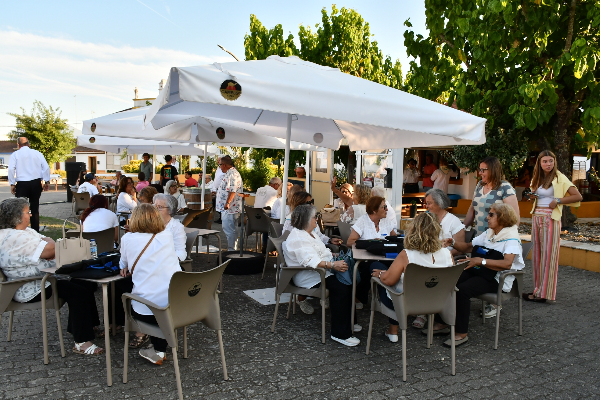 2026-07-14-foto-noites-na-praca-regressaram-a-monforte-(102)