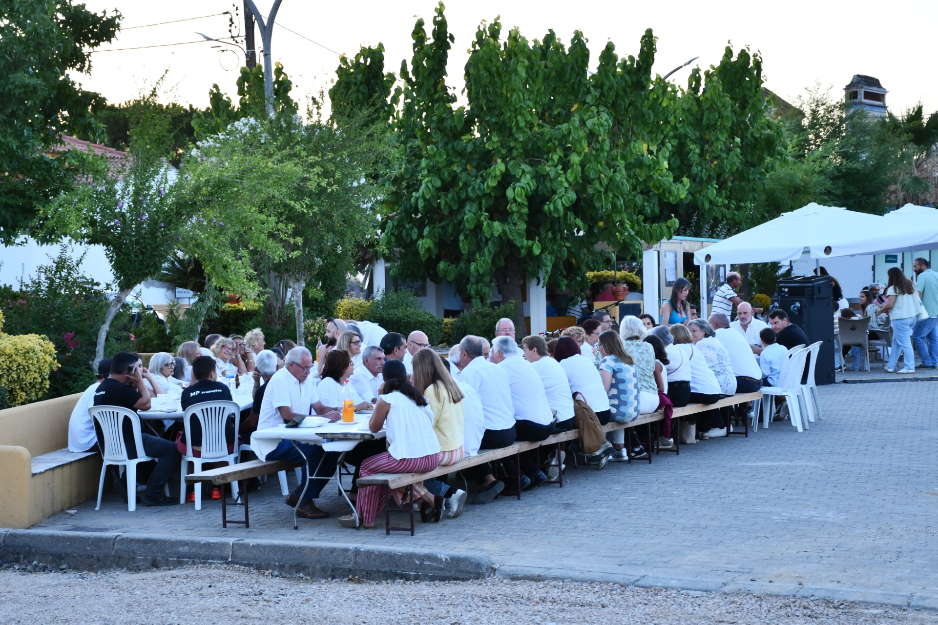 2026-07-14-foto-noites-na-praca-regressaram-a-monforte-(118)